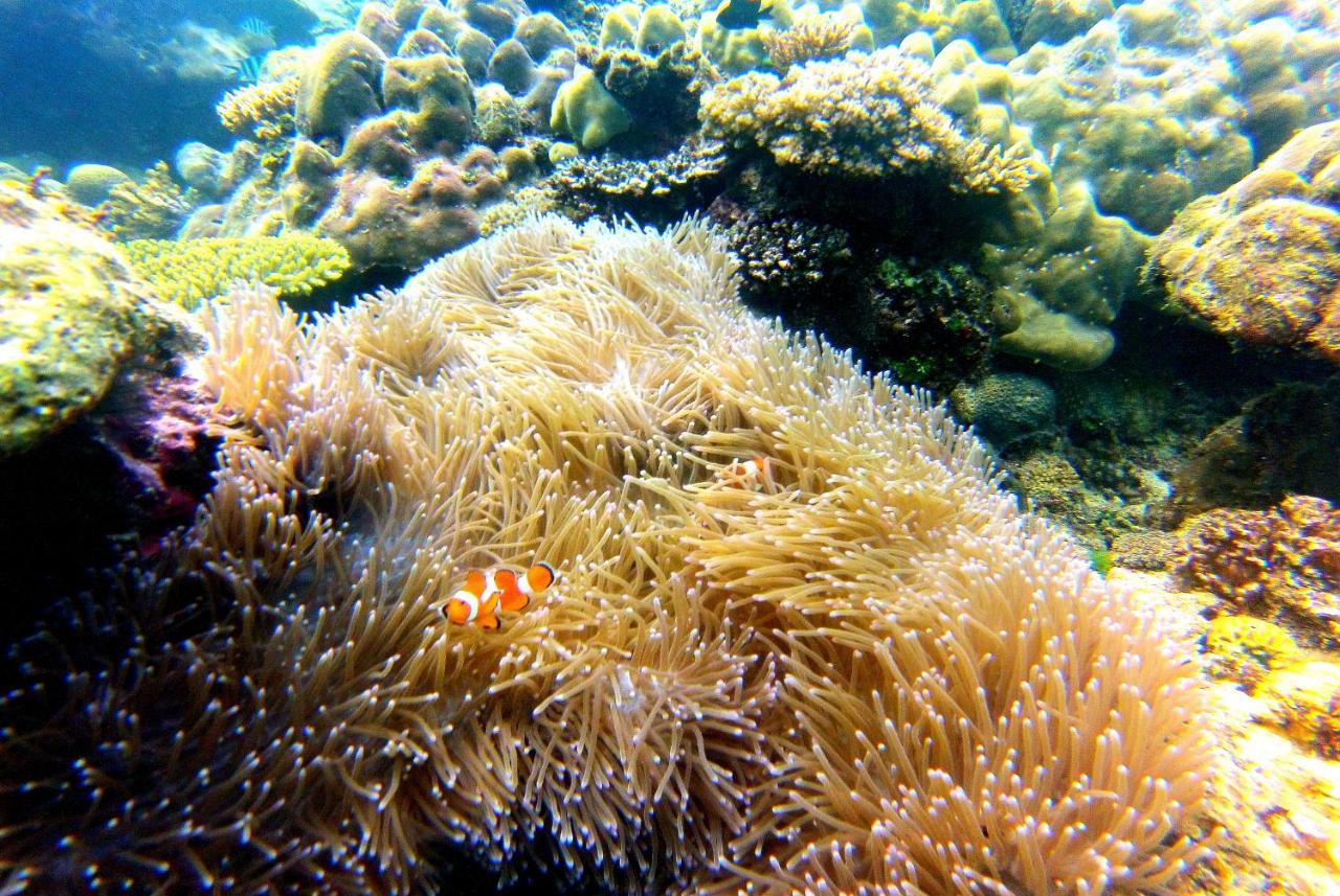 Arkadia Beach Resort Underground River Sabang  Eksteriør bilde